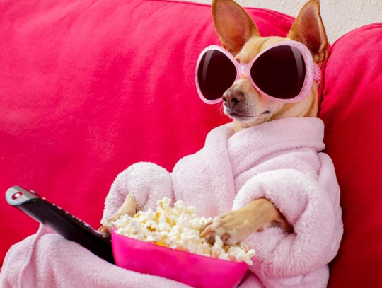 5 Kroków do Zwiększenia Odbiorców dzięki Transkrypcji Nagrania