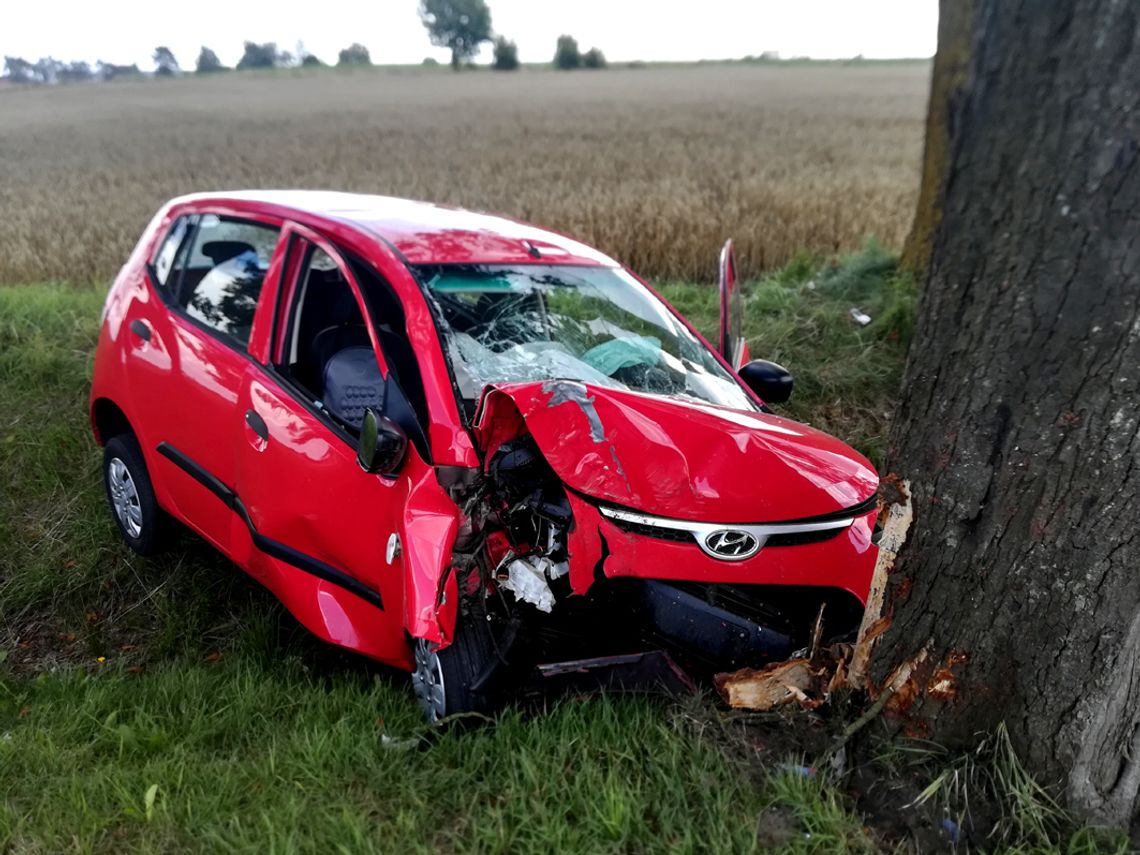 81-letni kierowca uderzył w drzewo