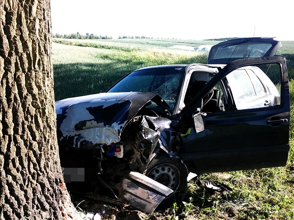 Kwidzyn – samochód uderzył w drzewo, ranna jedna osoba