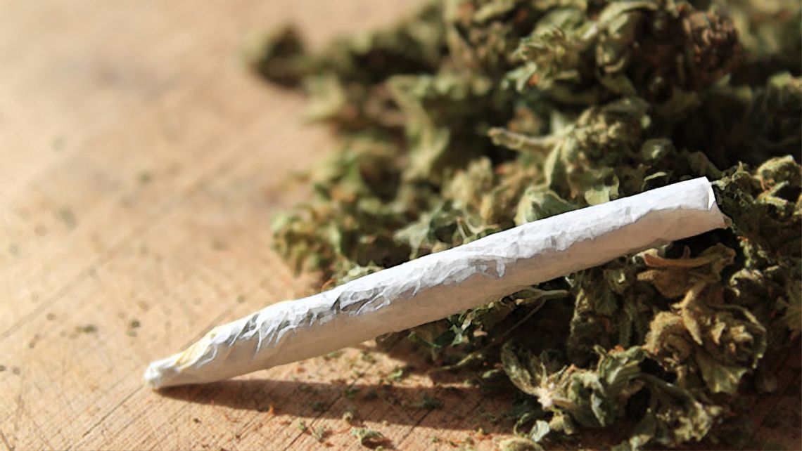  Policjanci na interwencji domowej odkryli uprawę marihuany