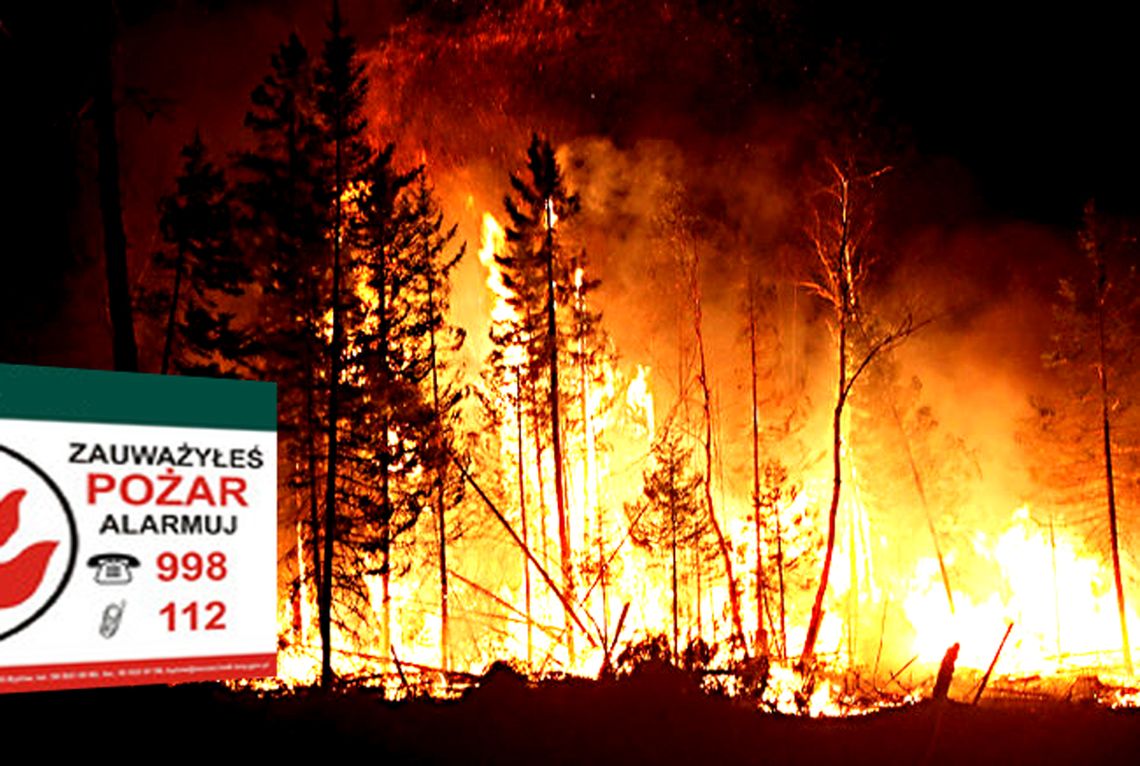 Strażacy apelują - chrońcie las przed pożarem