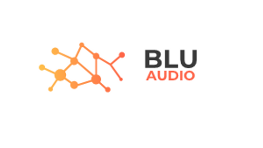 Serwis technologiczny AGD i RTV - blu-audio.pl